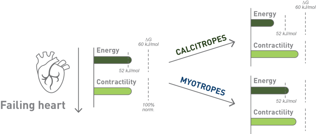 Chart showing how in a failing heart, calcitropes improve contractility but deplete cardiac energy; myotropes avoid this and maintain cardiac energetics